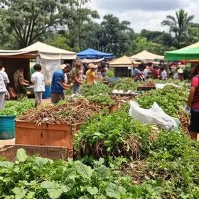 Prefeitura de Aracaju inicia compostagem de resíduos orgânicos de mercados e feiras livres